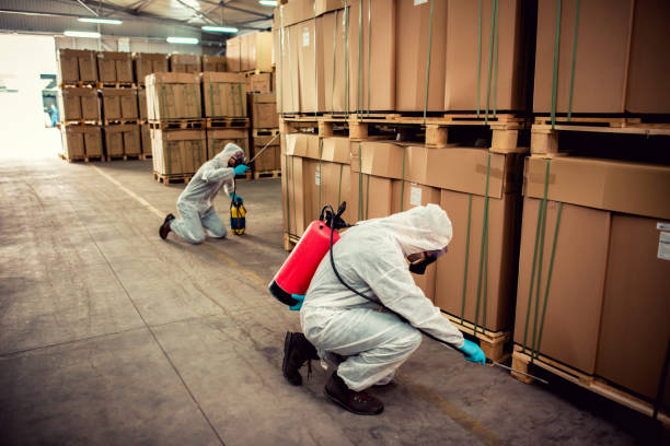 Best Residential Pest Control  in Clyde Hill, WA