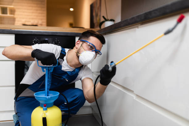 Best Residential Pest Control  in Clyde Hill, WA
