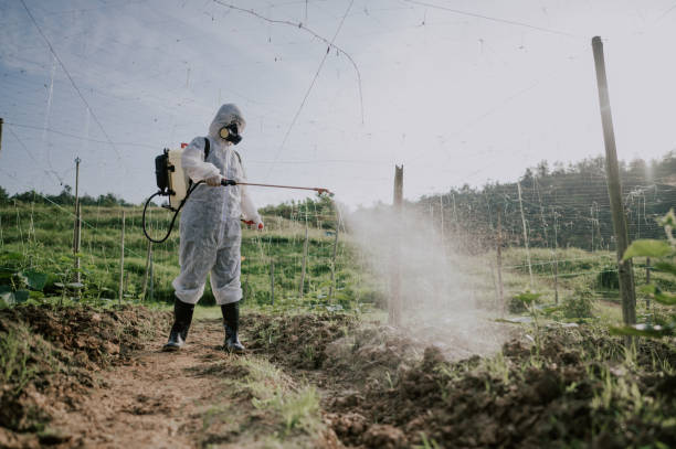 Reliable Clyde Hill, WA Pest Control Solutions