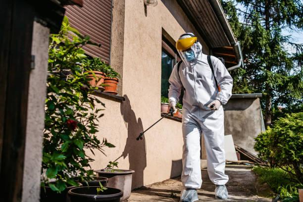 Best Exterminator Services  in Clyde Hill, WA