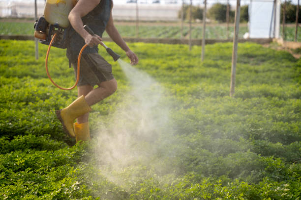 Best Emergency Pest Control  in Clyde Hill, WA