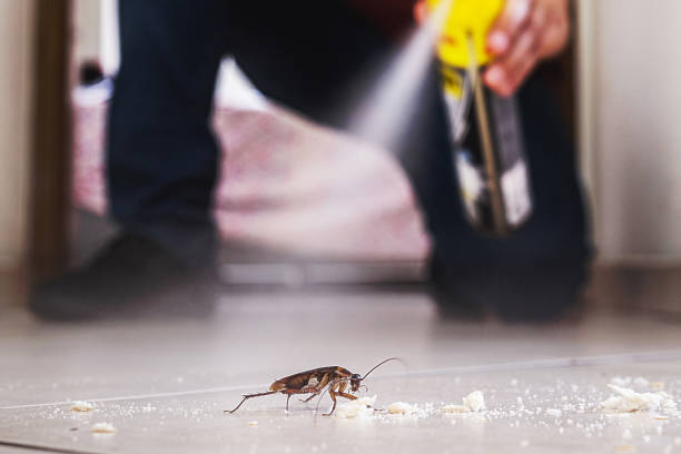 Best Pest Inspection Near Me  in Clyde Hill, WA
