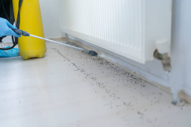 Best Bed Bug Extermination  in Clyde Hill, WA