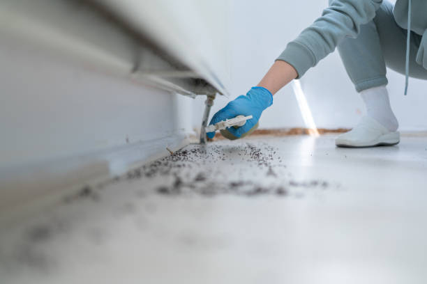 Best Affordable Pest Control Services  in Clyde Hill, WA