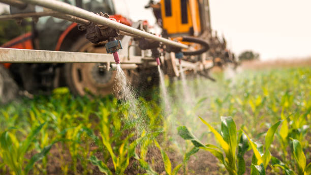 Clyde Hill, WA Pest Control Company